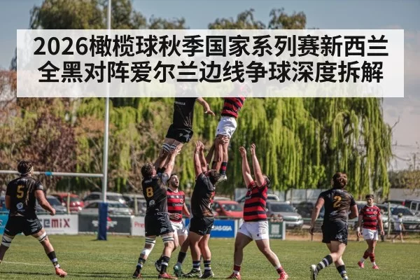 2026橄榄球秋季国家系列赛新西兰全黑对阵爱尔兰边线争球深度拆解