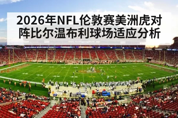 NFL London game crowd