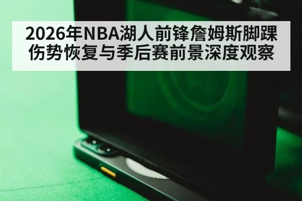 2026年NBA湖人前锋詹姆斯脚踝伤势恢复与季后赛前景深度观察